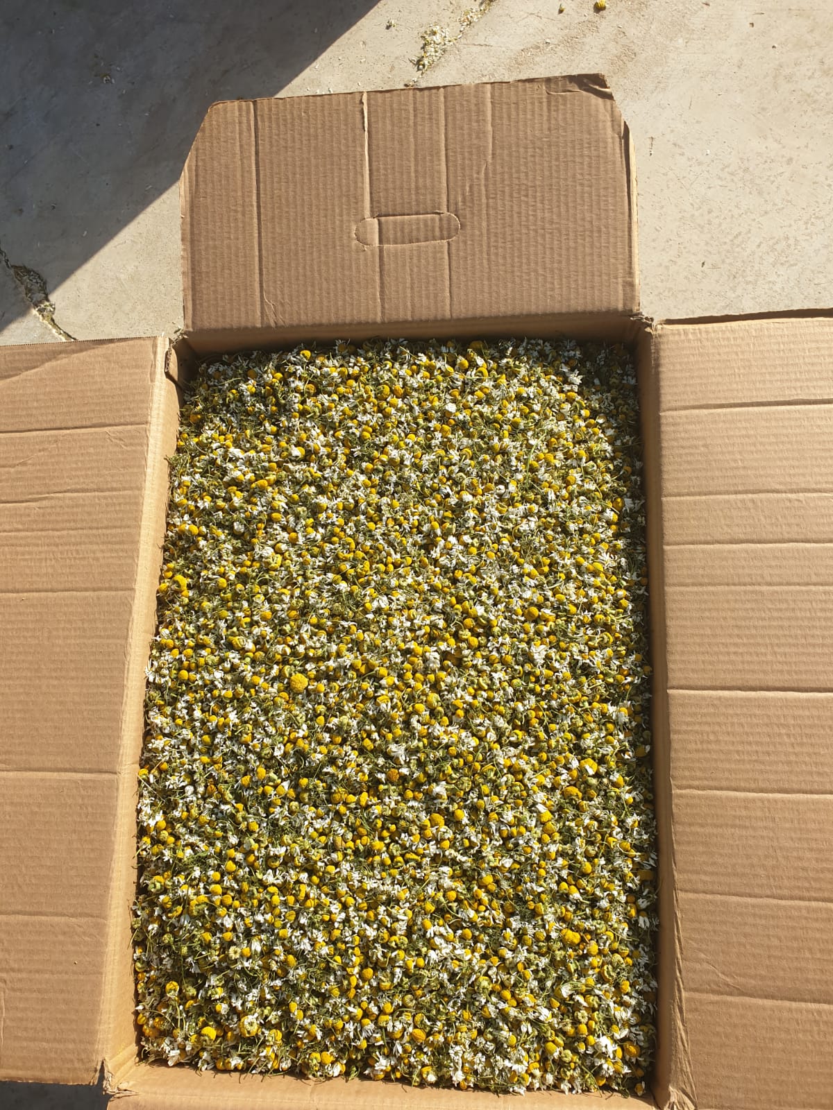 showing our real work